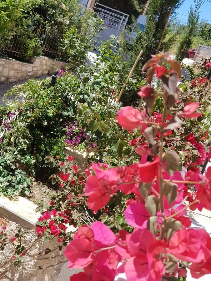 Rock Apartments Sarande 0*,